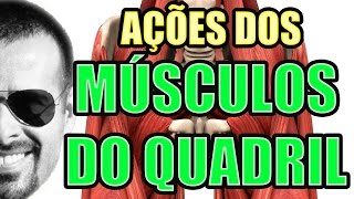 Vídeo Aula 116  Anatomia Humana  Sistema Muscular Ações dos Músculos do Quadril [upl. by Eninnej]