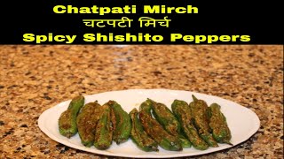 Chatpati Mirch चटपटी मिर्च Spicy Shishito Peppers [upl. by Chariot198]