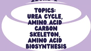 Group 9 The Urea Cycle Amino acid carbon skeleton Amino acid biosynthesis [upl. by Ahsenav]