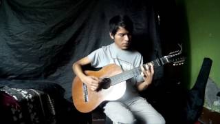 A los filos de un cuchillo  Pastorita Huaracina  Guitarra Andina [upl. by Oscar]