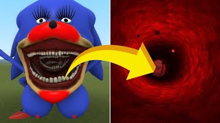 NEW WHATS SONICS INSIDE TAPES COMPARISONS SIZE FAMILY ZOOCHOSIS Garrys Mod [upl. by Eldorado]