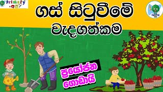 ගස් සිටුවීමේ වැදගත්කම ගස් වලින් ලැබෙන ප්‍රයෝජන gas walin lebena prayojanawadagathkamaprimary අපි [upl. by Phylys]