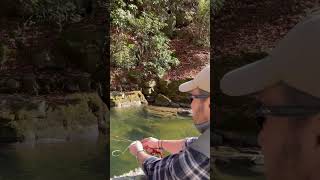 Fishing in the Yadkin River🐟🎣 [upl. by Nailuj]