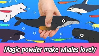 EN Magic powder make whales lovely whales names for kids coco animation collectaㅣCoCosToy [upl. by Schwerin]