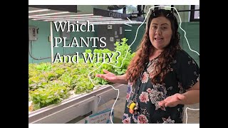 AQUAPONICS GROWING METHODS and TEACHING TECHNIQUES [upl. by Greysun]