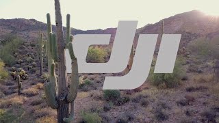 How to Fix Jittery or Bad Drone Footage Mavic 2 Pro [upl. by Hrutkay]