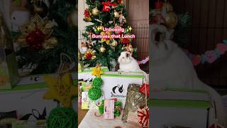 UNBOXING cajita Bunnies That Lunch de juguetes y snacks para conejos NAVIDAD 2023 conejo bunny [upl. by Allisurd567]