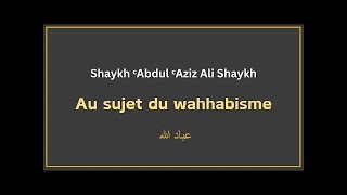 Au sujet du quotwahhabismequot  🎙️ Cheikh ᶜAbdul ᶜAziz AlShaykh [upl. by Farmer232]