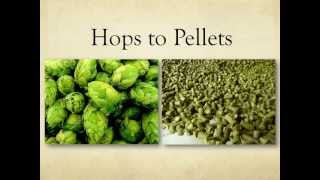 Hops Pelletizing for Small Scale Hops Farms [upl. by Eglanteen229]