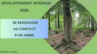 quotSoin pour se ressourcer au contact dun arbrequot [upl. by Tommi]