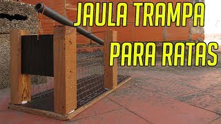 JAULA TRAMPA PARA RATAS casera [upl. by Lebatsirc]