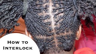 How to Interlock Dreadlocks  2pt 3pt amp 4pt Rotation Demo on Mannequin [upl. by Ikkim]