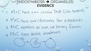 Protist Evolution  Classification Protists 23 [upl. by Abigail891]