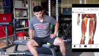 Smashing Adductor Magnus for Squat Flexibility [upl. by Lyndon]