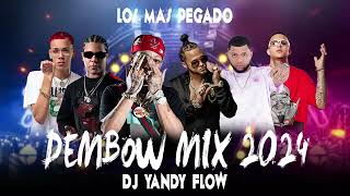 DEMBOW MIX 2024 VOL 12 DJYANDYFLOW ❌GOOATKING [upl. by Orat]