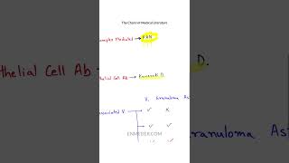 Vasculitis Classification tcml [upl. by Enirahtak]