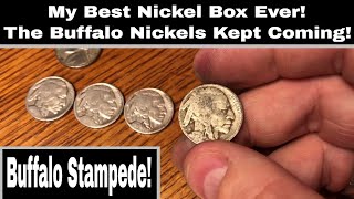 Best Nickel Box Ever  Buffalo Stampede [upl. by Enimsaj]