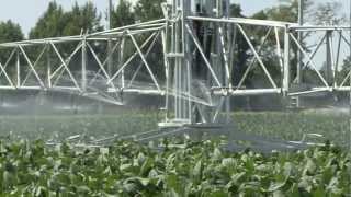 Irrigation Techniques For Soybeans [upl. by Ainitsirc578]