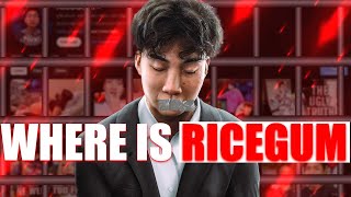 The Sudden Disappearance Of RICEGUM [upl. by Aicercal]