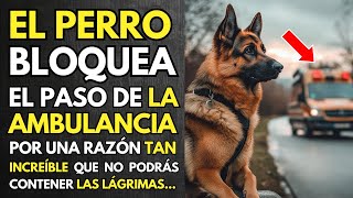 PERRO BLOQUEA EL PASO DE LA AMBULANCIA POR UNA RAZÓN TAN INCREÍBLE QUE NO PODRÁS CONTENER LAS [upl. by Mella]