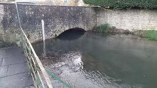 River Churn  Cirencester [upl. by Oinotnaocram]