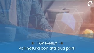 TOP Family Release 27  Pallinatura con attributi parti [upl. by Adnuhsar]