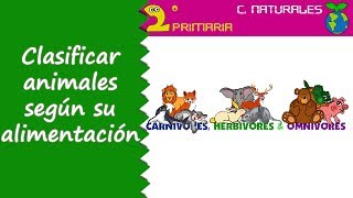 Ciencias de la Naturaleza 2º Primaria Tema 4 Clasificamos los animales según su alimentación [upl. by Cordey]