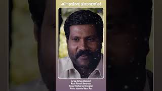 Kinavinte Minarathil  Adaminte Makan Abu rameshnarayanan shortsfeed shortsvideo reels [upl. by Derfliw964]