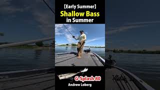 How to Catch Shallow Bass in Summer【Early Summer 06 07】 [upl. by Iam]