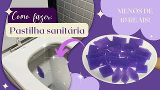 Como fazer pastilhas sanitária com MENOS DE 10 reais  Banheiro muito cheiroso [upl. by Omero859]