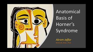 Anatomical Basis of Horners Syndrome [upl. by Fredelia337]