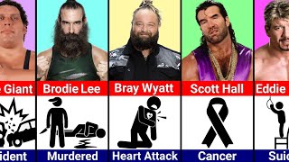 How WWE Wrestlers Died [upl. by Ducan]