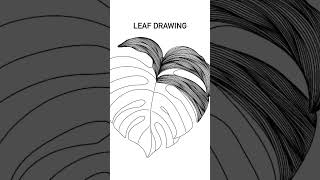 Fineliner leaf drawing like comment paintingtechniques art trending finelinerart viral [upl. by Icul]