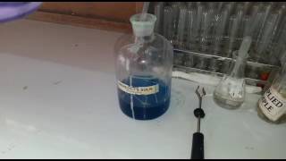 Benedict test biochemistry ospe [upl. by Cordova]