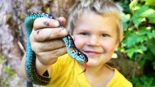 Catching and Eating Wild Snakes [upl. by Leissam]