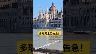 多瑙河洪水，沿岸告急 自由行 travel 旅行 旅游 多瑙河 [upl. by Jennica]