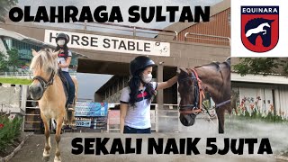 LATIHAN KURSUS BERKUDA PEMULA DI EQUINARA HORSE SPORT PULOMAS JAKARTA  PACUAN KUDA INTERNASIONAL [upl. by Annahsat]