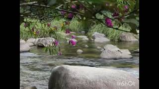 vanamagan ❤️❤️❤️ silu siluvenru poongatru song ❤️❤️ cute song [upl. by Cailly]