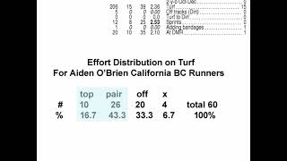 2024 Juvenile Turf Sprint [upl. by Attennaj889]