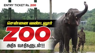 சென்னை வண்டலூர் ஜூ I Vandalur Zoo  Entry fee Rs 200  Chennai Vandalur Zoo Lion Safari [upl. by Aremahs215]