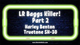 LR Baggs Killer Part 2  Harley Benton True Tone SH30 Pro Active PickUp [upl. by Ezitram]