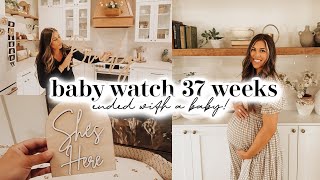 BABY WATCH VLOG 37 WEEKS  this week ended with a baby [upl. by Lenahtan]