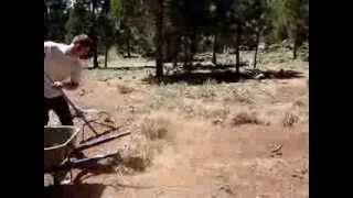 Raking Pine Needles wRPM Hand Rake  Instructional Video [upl. by Ybbed]