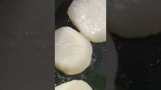 The Perfect Way To Sear Scallops By Gordon Ramsay  MasterChef [upl. by Anirav]