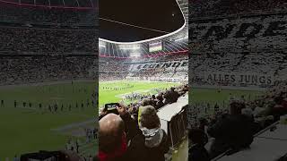 Allianz Arena gegen Niederlande 141024 [upl. by Imef]