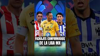 Fichajes Confirmados de la Liga MX 2024 deportes futbol [upl. by Crim]