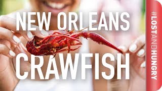 New Orleans  How Do You Eat Crawfish LostandHungry [upl. by Gnik]