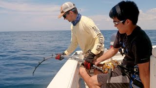 Bass Fishermen vs Goliath Groupers  ft 1Rod1ReelFishing amp LunkersTV  4K [upl. by Gill514]