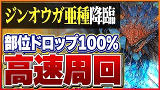 【ジンオウガ亜種降臨】ずらし周回の新星！ネロミェールで快適周回！部位ドロップ100％！【パズドラ】 [upl. by Ylluz803]