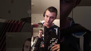 Meljacko kolo music cover accordion narodnamuzika [upl. by Ahsaela167]